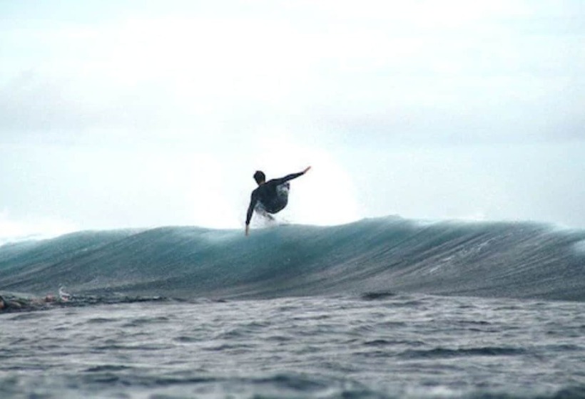 فندق صغير Funky Fish Beach & Surf Resort