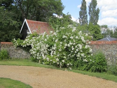 Bed and Breakfast Abbey Farm