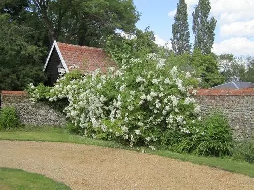Bed and Breakfast Abbey Farm