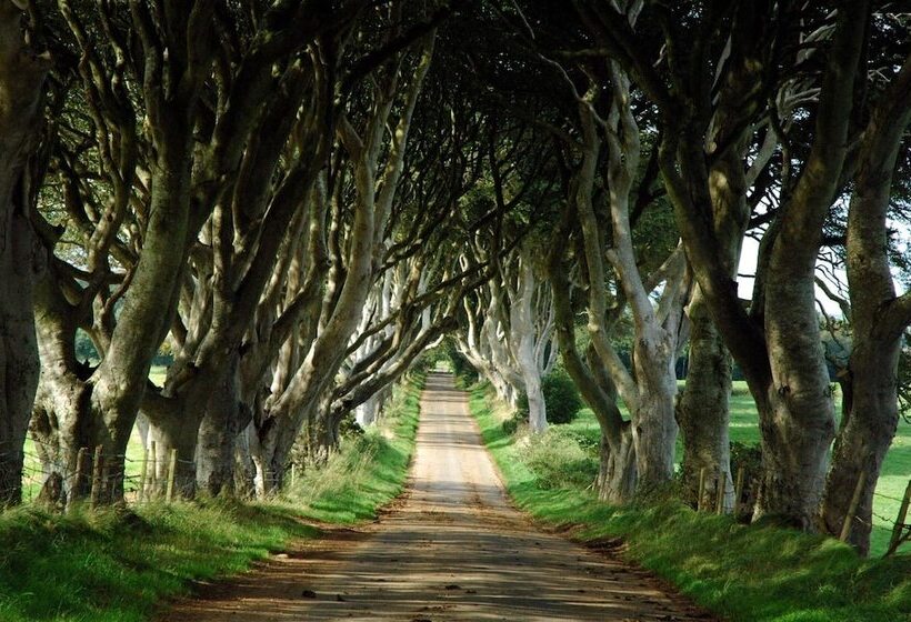 ベッドアンドブレックファースト Causeway Lodge