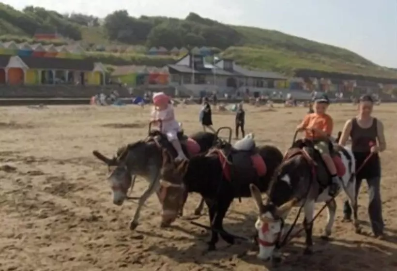 Chomley Holiday Flats