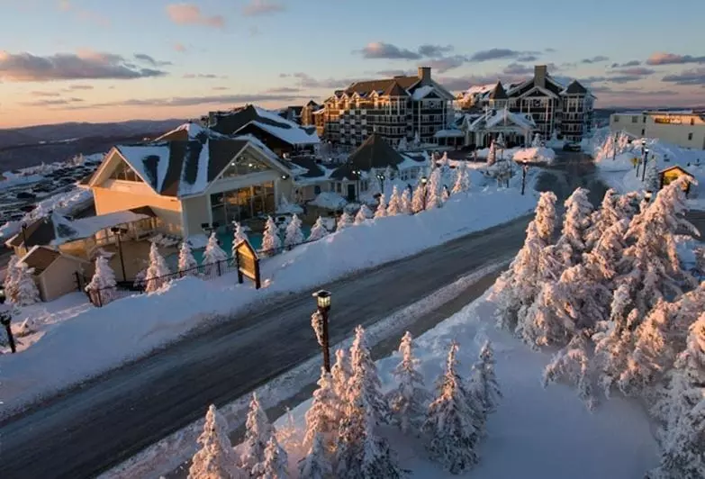 Otel Allegheny Springs