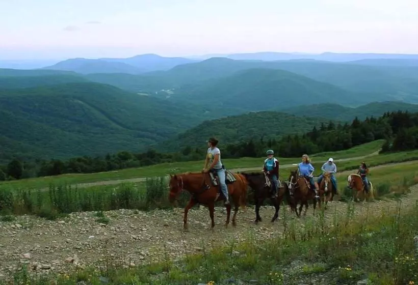Otel Allegheny Springs
