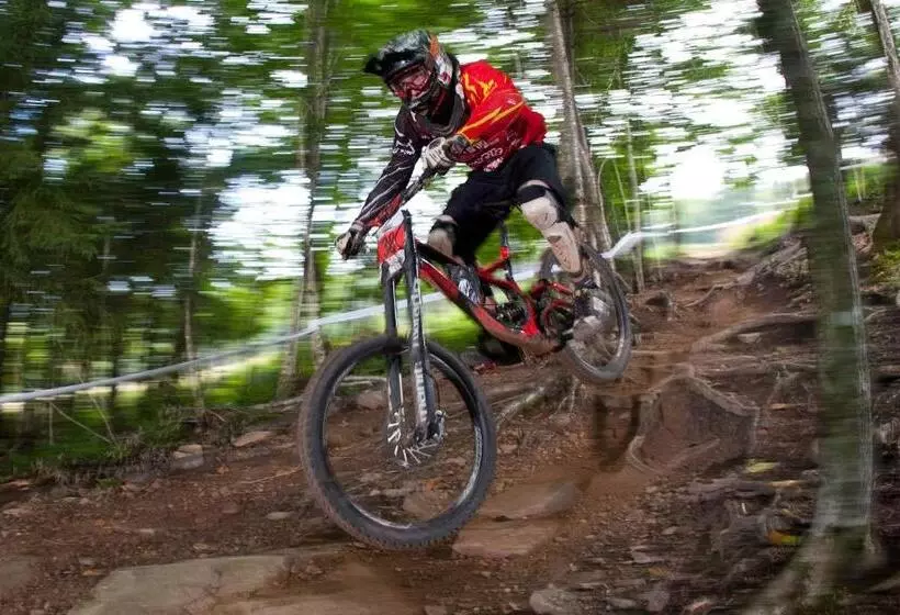 Otel Allegheny Springs