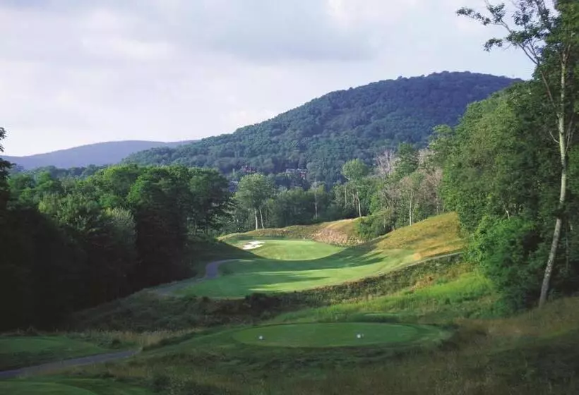 Otel Allegheny Springs
