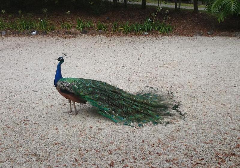 ホテル Azabu Retreat & Spa