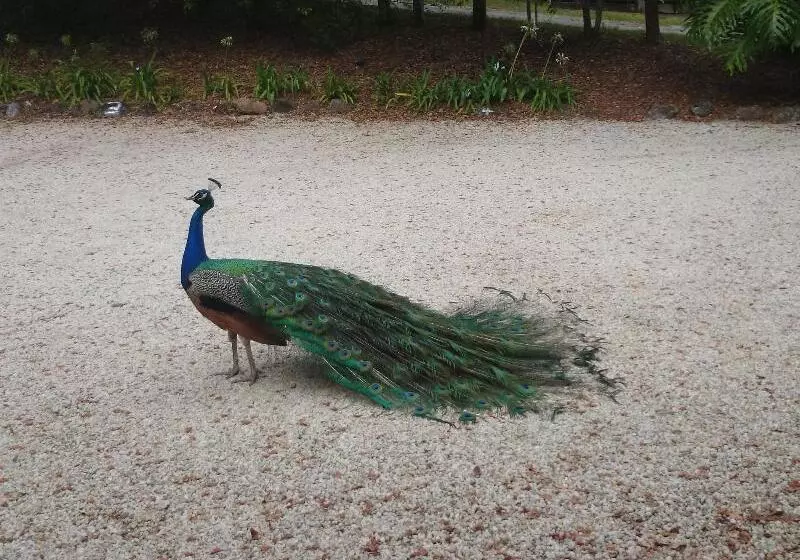 هتل Azabu Retreat & Spa