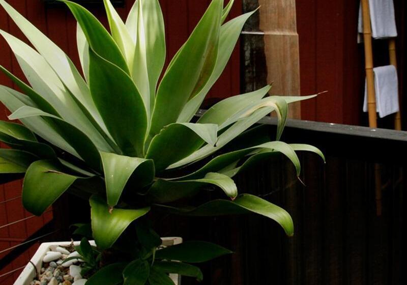 ホテル Azabu Retreat & Spa