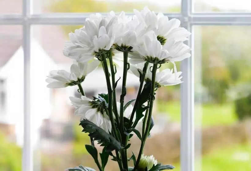 Отель Leworthy Farmhouse Bed And Breakfast