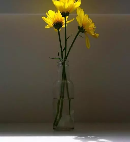 Отель Leworthy Farmhouse Bed And Breakfast