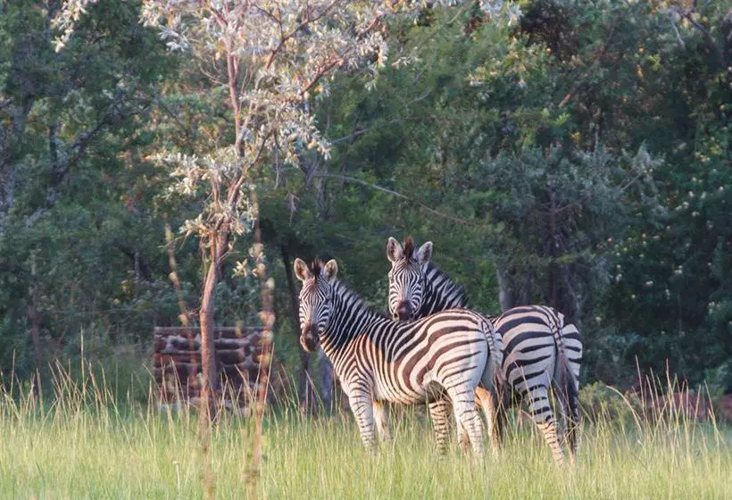 Pension Birdsong Cottages