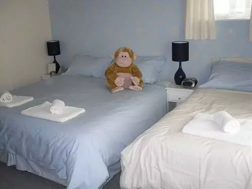 پانسیون The Cottage