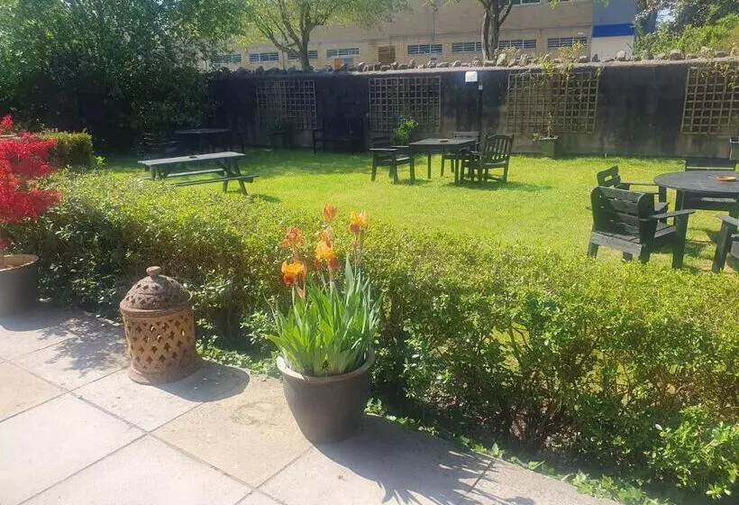 פנסיון The Shrubbery