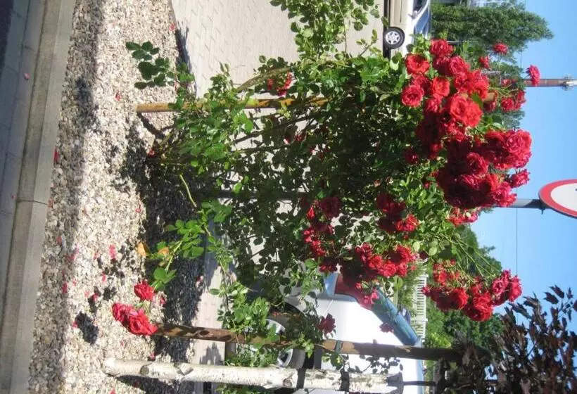 ユースホステル Baza Noclegowa Mistral