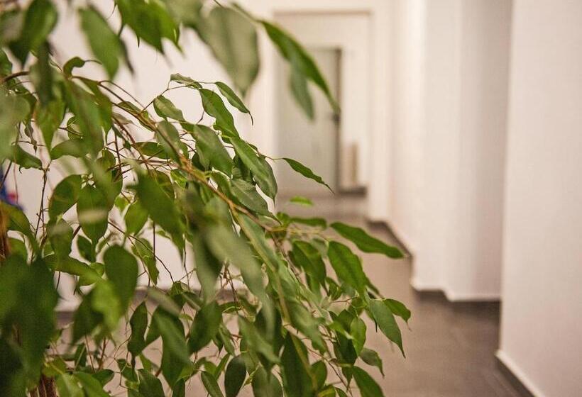 호스텔 Open Tours