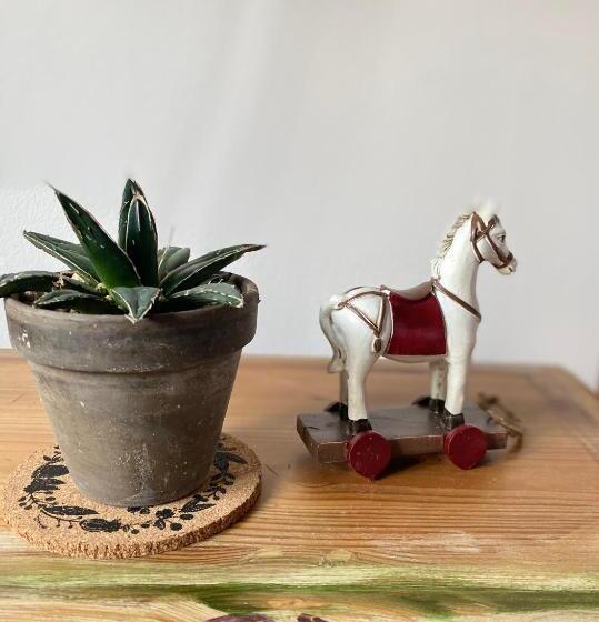 هاستل Restauracja Pensjonat Buda