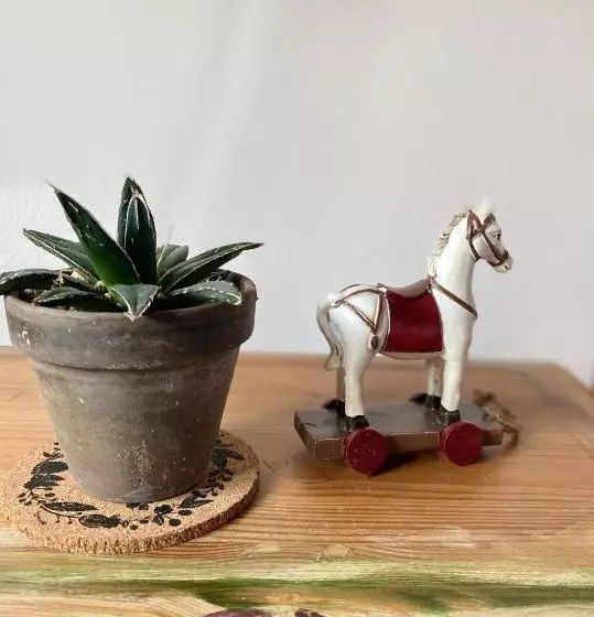 Retkeilymaja Restauracja Pensjonat Buda