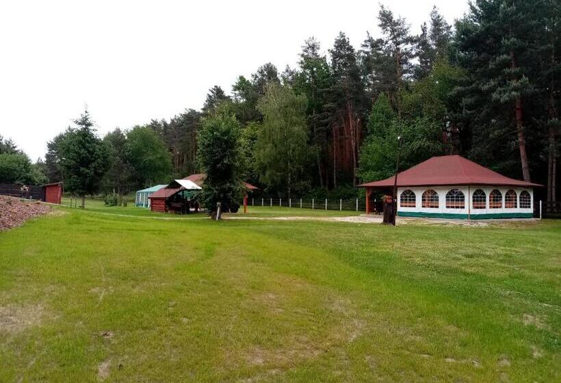 호스텔 Zajazd Gawrysiówka