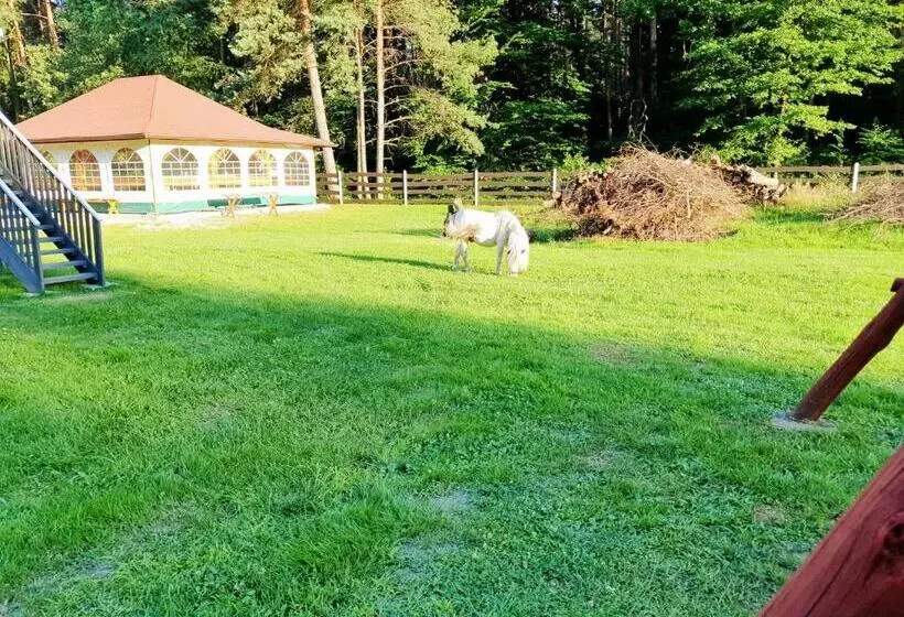 Retkeilymaja Zajazd Gawrysiówka