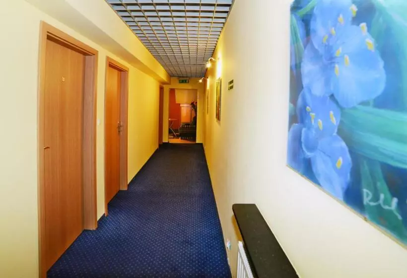 Aamiaismajoitus (B&B) Centrum