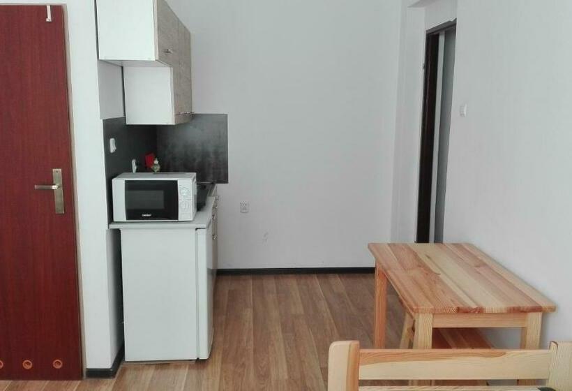 Schronisko Pokoje Typu Studio Sosnowiec