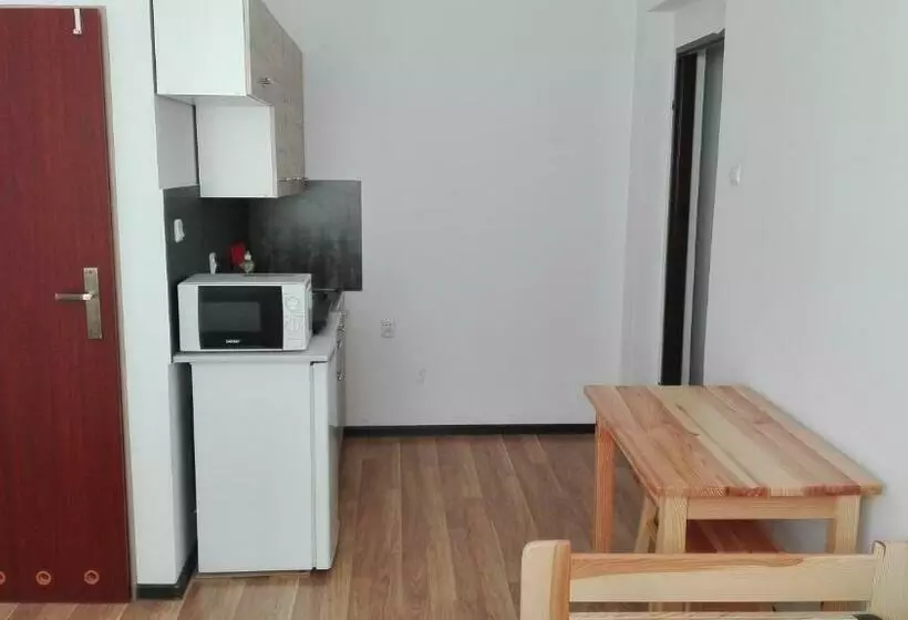 Retkeilymaja Pokoje Typu Studio Sosnowiec