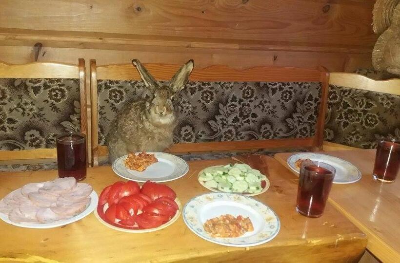 호텔 Góralska Czarcia Chata Pod Jałowcem