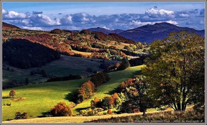 酒店 Nad Krolówką