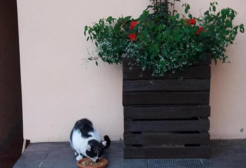 酒店 Nad Krolówką