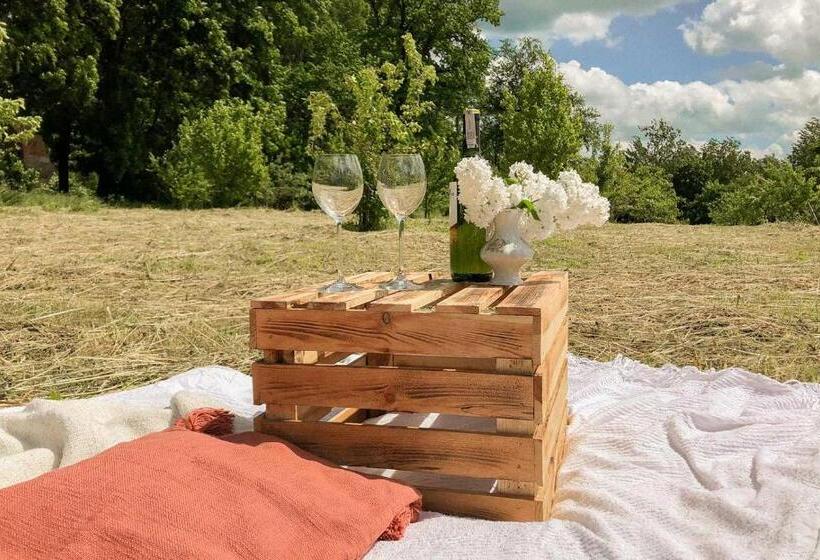 فندق Pałac Bałoszyce