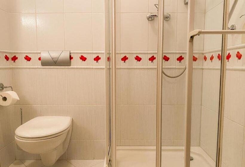 فندق Pałac Bałoszyce