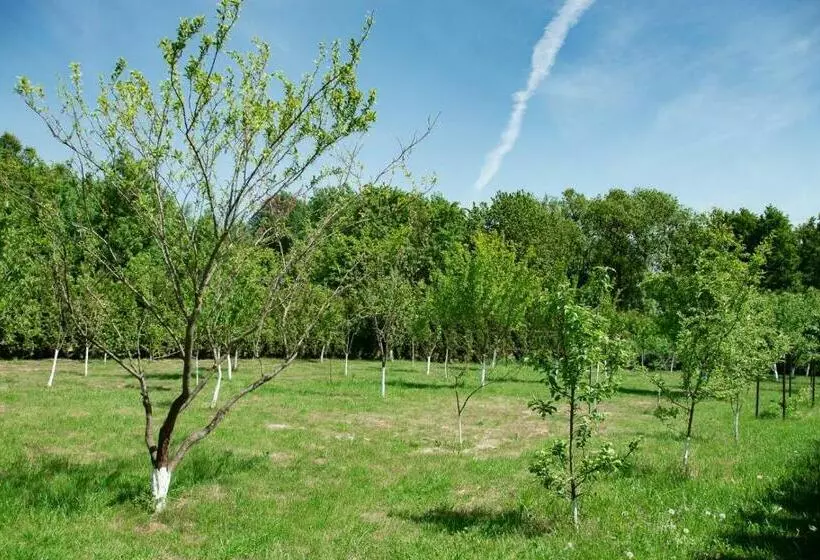 Hotelli Podkowa