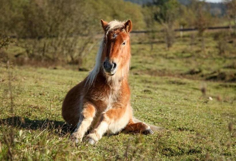 בית מלון כפרי Uroczysko Deresze