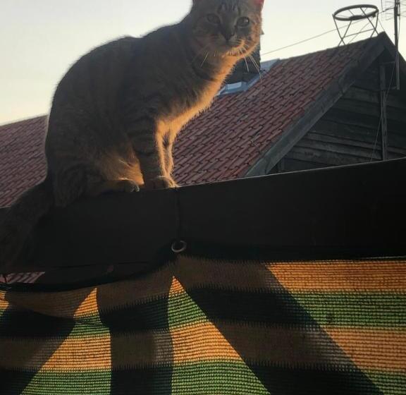 בית מלון כפרי Uroczysko Deresze