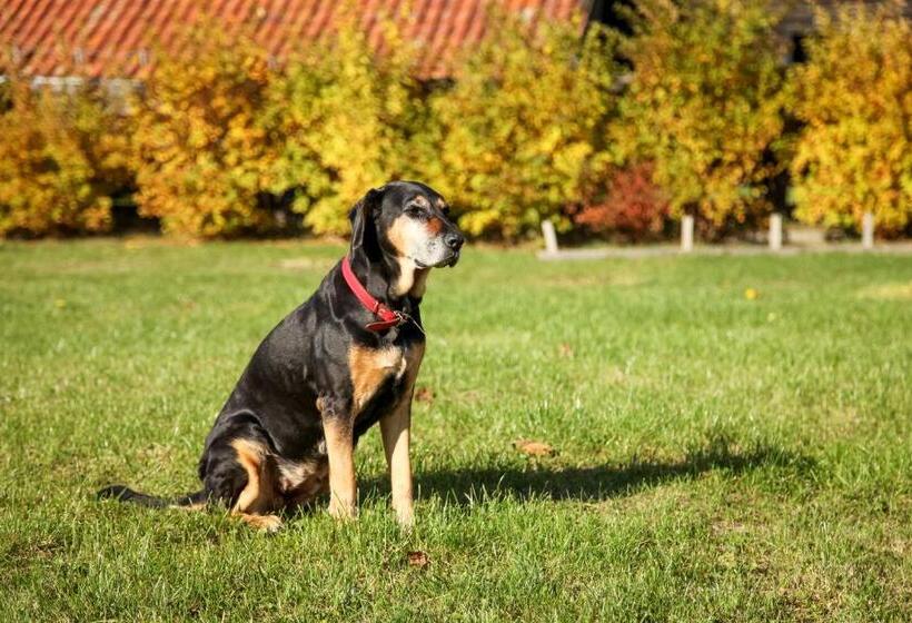 בית מלון כפרי Uroczysko Deresze