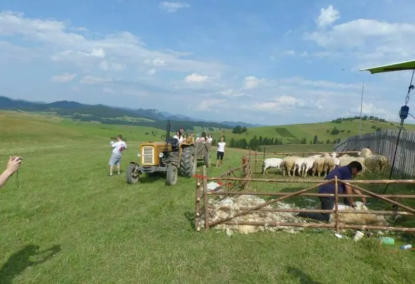 Majatalo Dom Wypoczynkowy Marta
