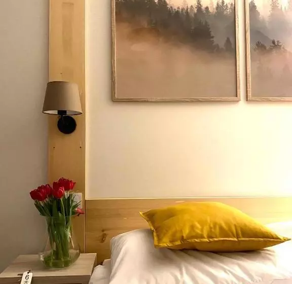 ペンション Karolowy Pokoje&apartamenty