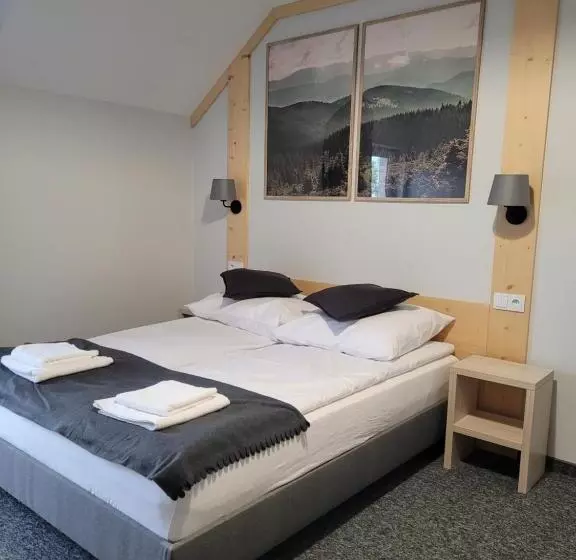 ペンション Karolowy Pokoje&apartamenty