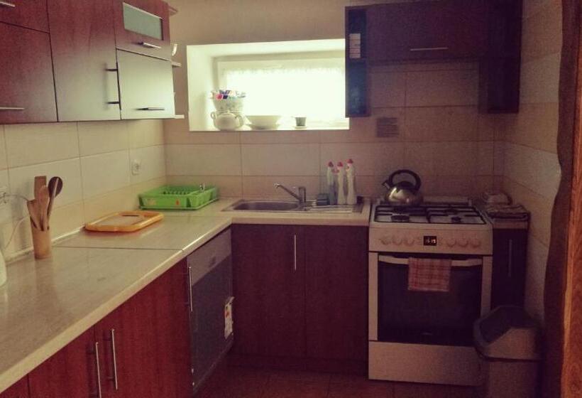 ペンション Noclegi U Dyncyka