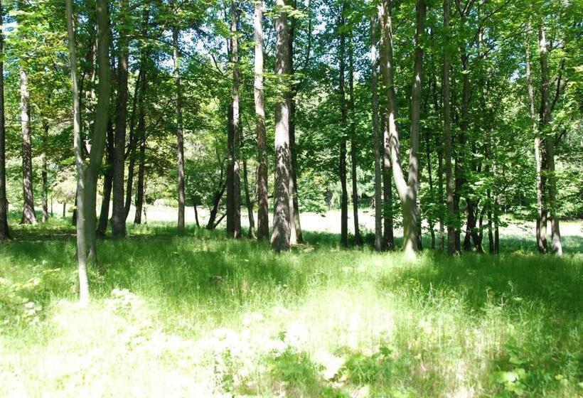 פנסיון Willa Anna