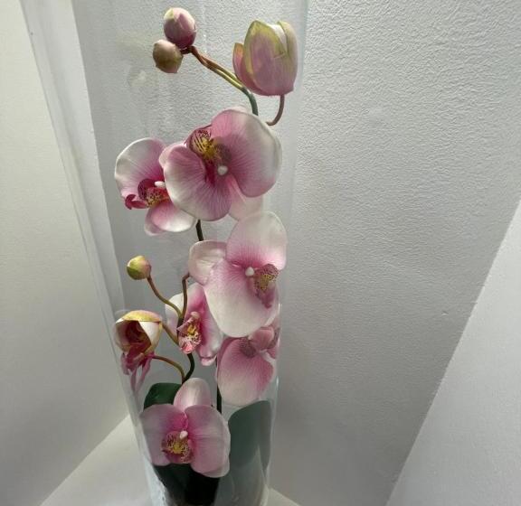 פנסיון Willa Mira 200 Metrów Od Morza