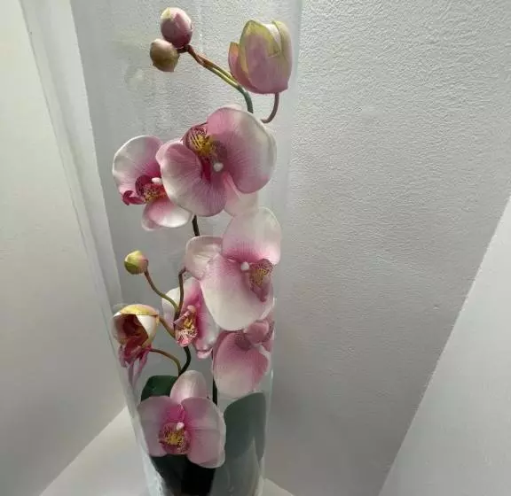 Majatalo Willa Mira 200 Metrów Od Morza