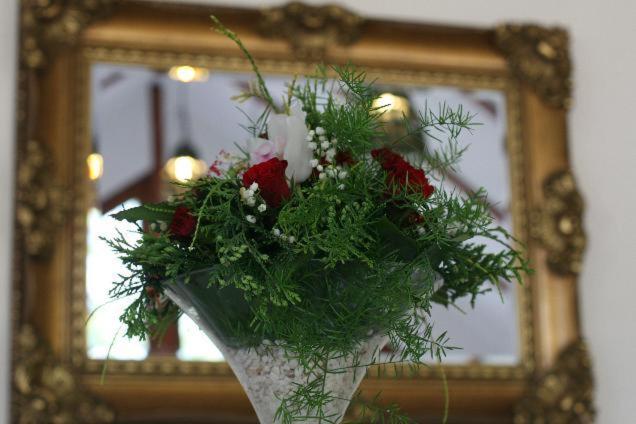 Przystań Nad Sołą