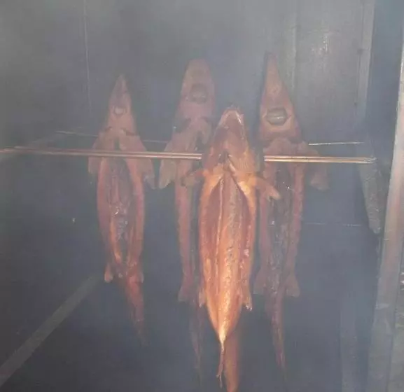 Przystań Nad Sołą