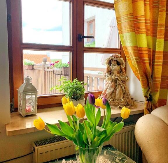 هاستل Kamienica Biała