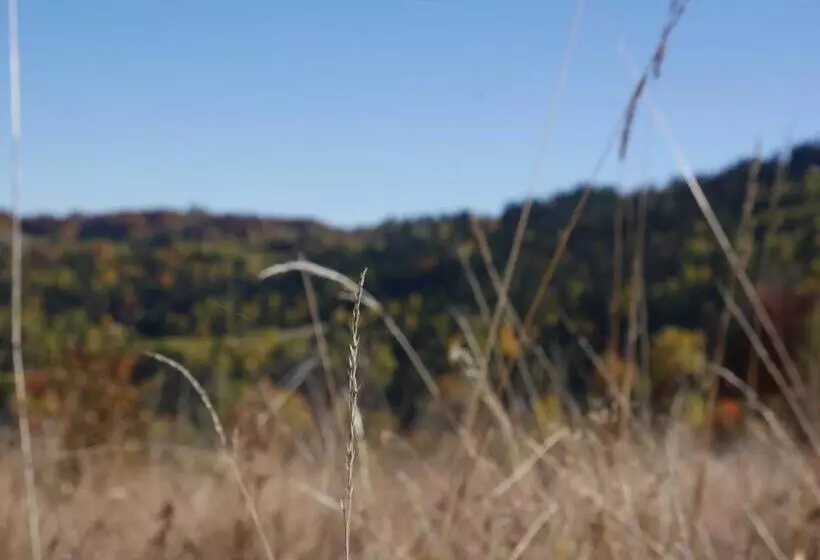 Apartamenty Przy Hotelu żywieckim