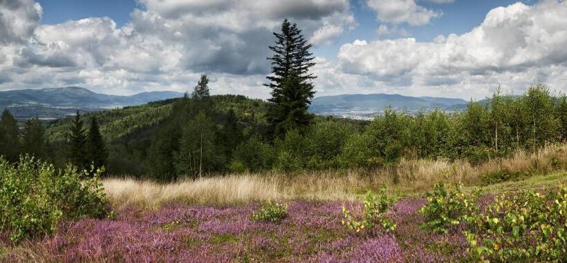 Apartamenty Przy Hotelu żywieckim