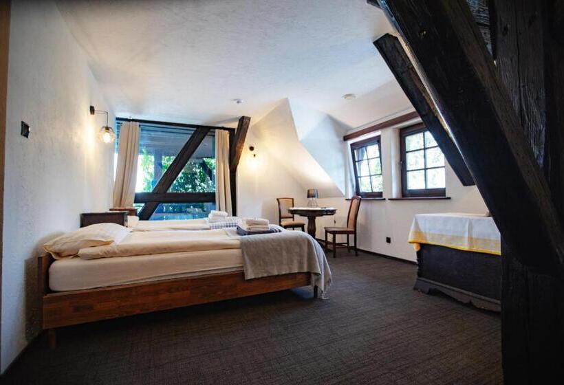 مبيت وإفطار Gospoda Pod Czarnym łabędziem