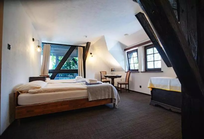 ベッドアンドブレックファースト Gospoda Pod Czarnym łabędziem