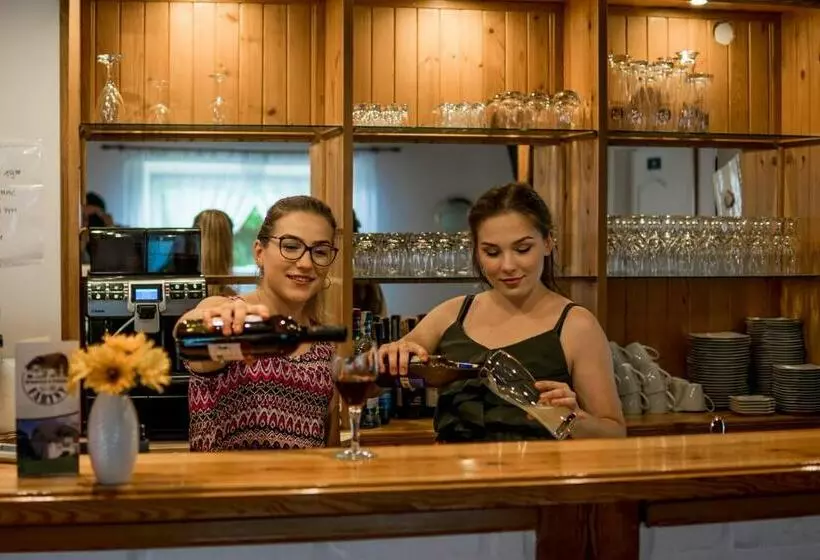 Aamiaismajoitus (B&B) Pensjonat Faryny